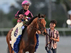 Junior-Alvarado-768x576