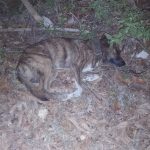 IMG-20261024-WA0011