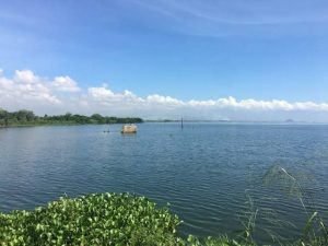 IMG_20261028_083331_449