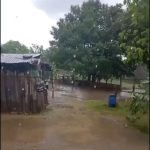 WA_1791404915784