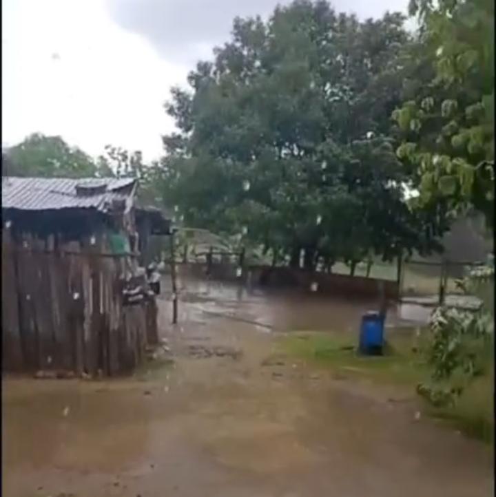 WA_1791404915784