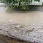 WA_1791405923478