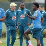 ancelotti-junto-a-vinicius-jr-71130